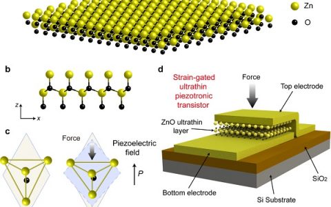 中科院北京纳米能源所王中林团队ACS Nano:超短沟道的压电电子学晶体管