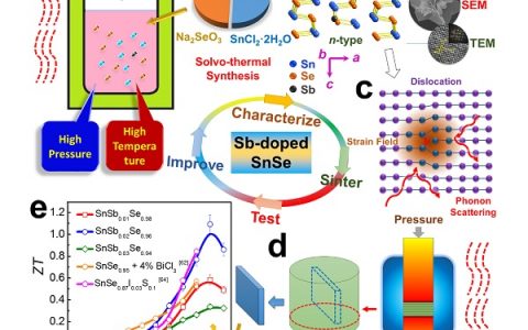 Adv. Energy Mater. : 通过调节高载流子浓度和引入密集晶体缺陷实现具有高性能的n型锑掺杂硒化锡基热电材料