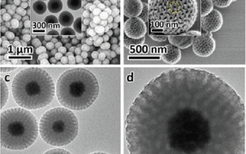 Adv. Mater : 多功能磁性核-壳单层介孔硅铝酸盐微球