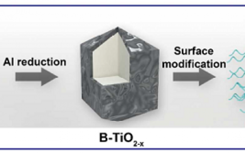 氧缺陷黑色二氧化钛用于声动力、光热协同治疗肿瘤