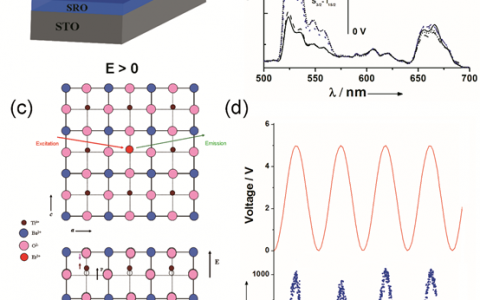 南开张杨和香港理工郝建华最新Adv. Mater.综述:铁电压电效应对先进材料和器件中光学过程的影响