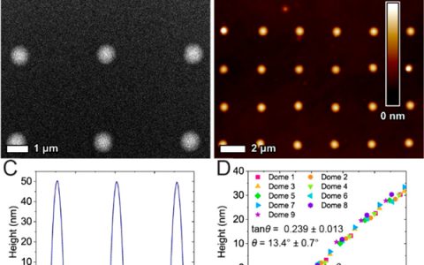 美国西北大学JACS:在聚合物纳米反应器中,无窗观察Au-Pt纳米粒子蒸发诱导粗化
