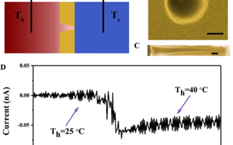 中科院理化所AEM:新型仿生热电转换体系——通过离子流定向通过锥形纳米通道阵列收集低品位热能