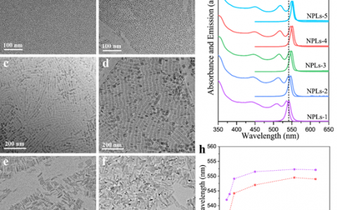 魏茨曼科学研究院Adv. Funct. Mater.:手性二维胶体半导体量子阱
