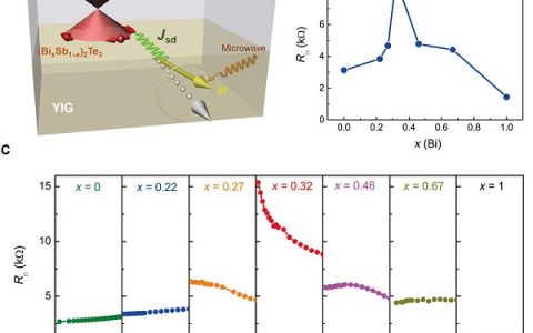 Sci. Adv.:狄拉克表面状态调制自旋动力学在室温下的亚铁磁绝缘体