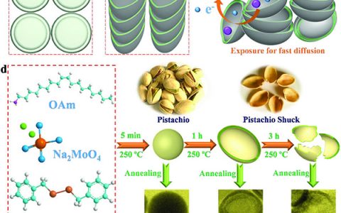 Adv. Mater: 用于高性能钾离子储存的类开心果壳状的MoSe2/C核/壳纳米结构