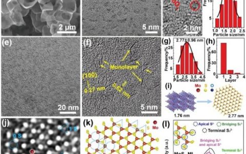 Adv. Energy Mater.: 通过限域效应将MoO3点对点转化为垂直排列的超小单层MoS2用于高效HER