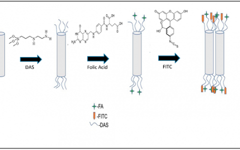 【MDPI专栏】Applied Science-Basel:用于抗癌治疗的双官能化粘土纳米管
