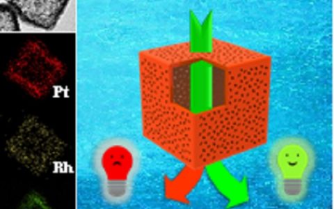 陕西师范陈煜AEM:多孔PtRhCu三金属空心纳米立方电催化乙醇氧化