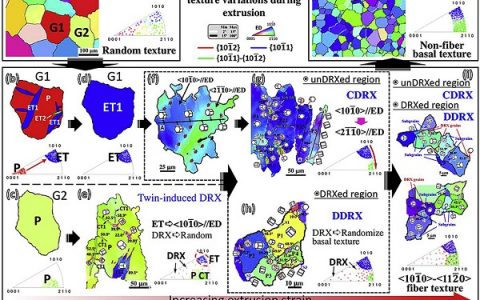 Acta Materialia:基于孪晶和动态再结晶揭示AZ31镁合金挤压成形过程中基面织构形成机理