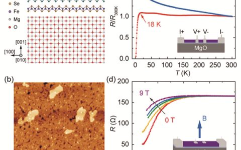 Science Bulletin:单层FeSe/MgO(001)界面增强超导电性:原子取代诱导电荷转移