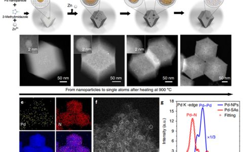 清华大学 Nat. Nanotech.:直接观察贵金属纳米粒子转变为热稳定的单原子