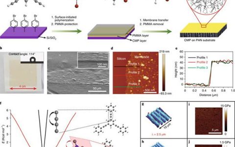 国家纳米科学中心Nat. Chem.:具有刚性骨架共轭高分子的自组装微孔薄膜用于超快有机溶剂纳米过滤