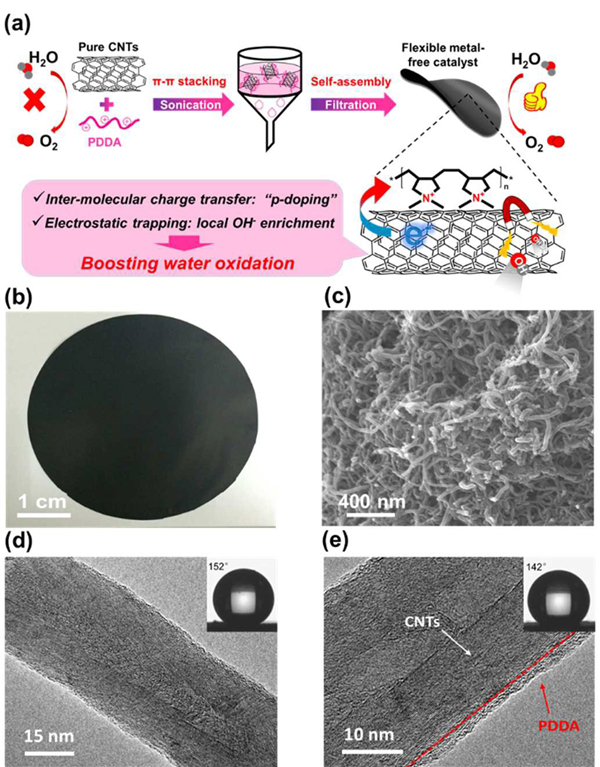 Energ. Environ. Sci.:吸附聚电解质诱导定向界面电荷转移促进无金属碳纳米管上的水氧化