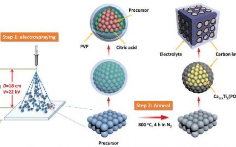 吉大杜菲&曾毅Adv. Funct. Mater. : 多级结构Ca0.5Ti2(PO4)3@C微球快速储钾及其高性能钾离子电容器