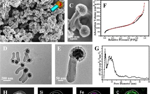 复旦大学JACS:单颗粒级别碳和二氧化硅空间分离的非对称两亲性介孔纳米颗粒