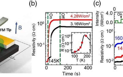 Phy. Rev. Lett.:在亚微米级相分离锰金属的金属-绝缘体转变中引起的中间态