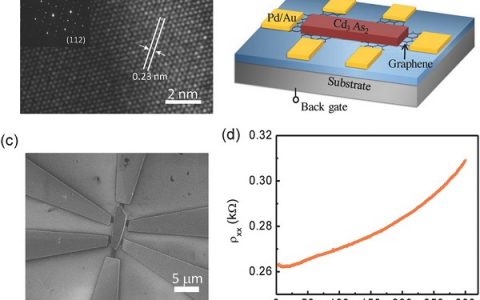南科大俞大鹏&北大廖志敏Adv. Mater.:2D-3D狄克拉半金属异质结