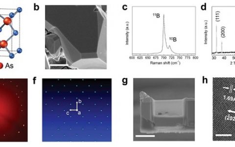 以后一起组团投文章吧:那些在Nature、Science上同一天发表的主题相同的文章