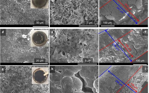 Nat. Nanotech.: 不易燃电解质使锂金属电池具有强烈的阴极化学性质