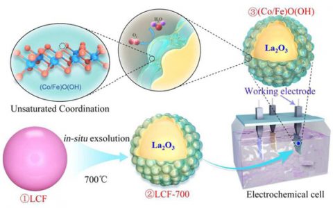 中科院上海应物所王建强&张硕EES:Operando X射线吸收谱揭示析氧反应电催化剂的自发结构转变