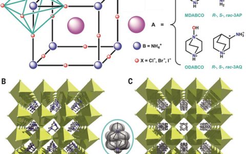 东南大学熊仁根教授团队发表第3篇Science:无金属的三维钙钛矿铁电体