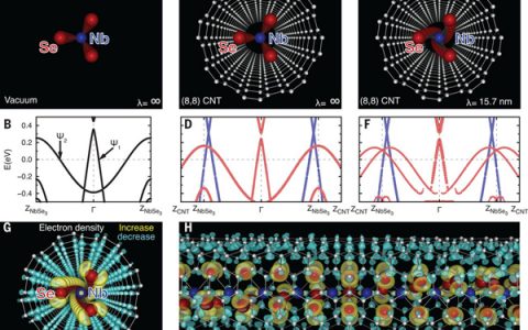 今日Science:巧妙利用纳米管促进过渡金属硫族化物链状生长!!!