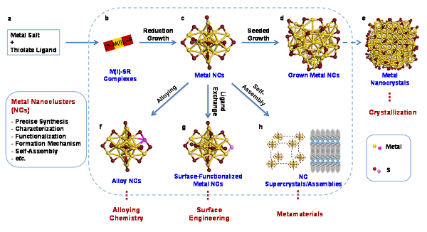 新加坡国立大学谢建平Accounts:阐述金属纳米团簇的全合成