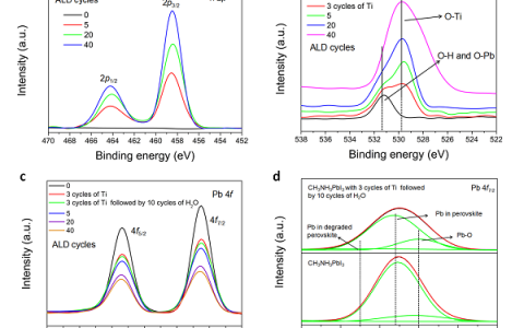 南工大陈志宽ACS Appl Mater Interfaces:高效且在极端条件下稳定的钙钛矿太阳能电池