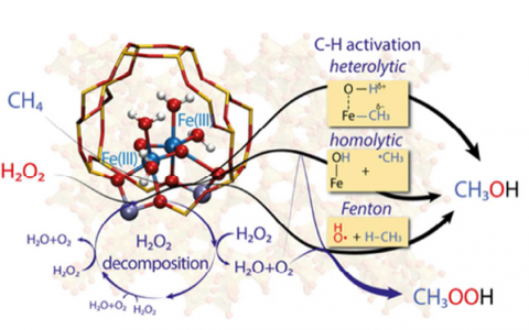 ACS Catalysis:单点Fe/ZSM-5催化剂的H2O2氧化甲烷反应机理研究
