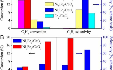 哥大陈经广PNAS: CO2还原和乙烷脱氢串联反应的活性位点