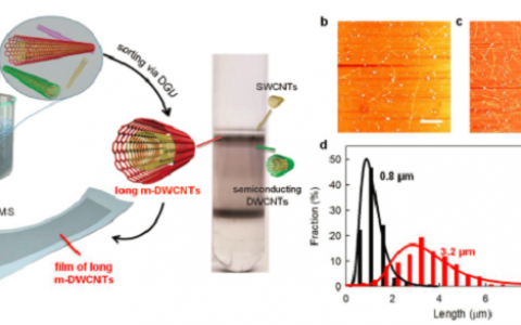 马里兰大学王育煌SMALL:无损溶解超长金属性碳纳米管,助力高性能柔性电子材料