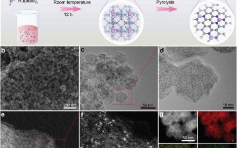 中科大曾杰教授Adv. Mater.:钌单原子催化剂实现高效电化学固氮