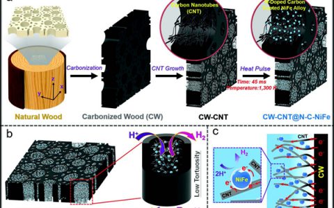 胡良兵Adv. Energy. Mater.:在低曲率的层级碳框架中“链甲催化剂”的原位组装及其用于高效稳定的析氢反应