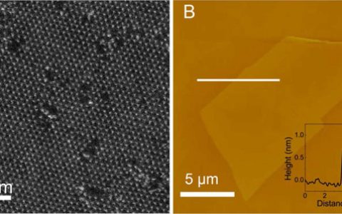 中科大吴长征教授ACS Nano:无序增强TaS2单层的超导性