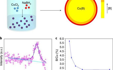 哈工大陈刚课题组Nat. Chem.:掺杂剂诱导的电子局域化促使CO2还原成C2烃