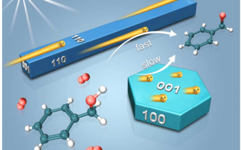 清华李亚栋院士&陈晨JACS:催化也要看