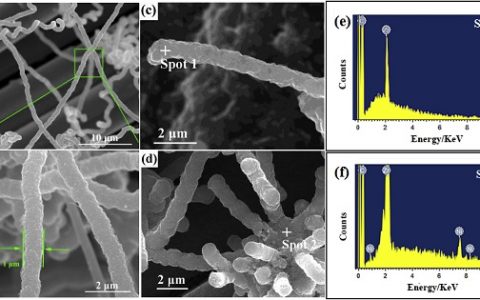 西工大Composites Part B:ZrC纳米线改性C/C复合材料的研究