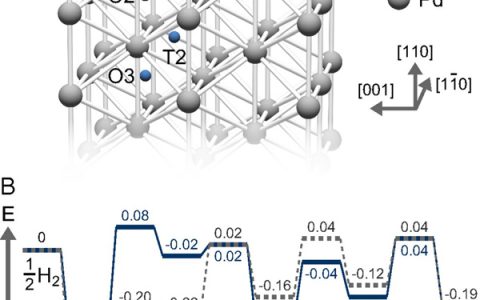东京大学PNAS:钯通过与金表面合金化加速吸氢