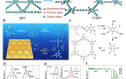 中科院李玉良院士EES:具有优异储锂性能的超长稳定性的自支撑电极材料——氟化石墨炔
