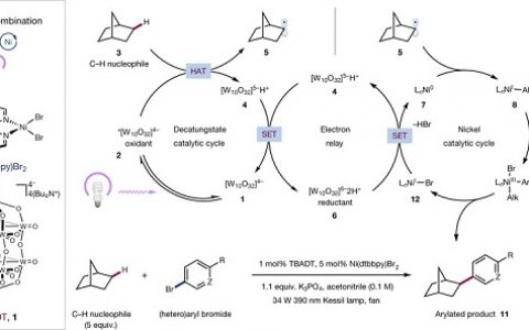 有机大牛David W.C. Macmillan最新Nature:脂肪族C-H键直接芳基化
