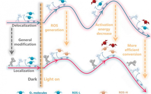 调控光催化速控步骤的“上帝之手”:局域化超额电子