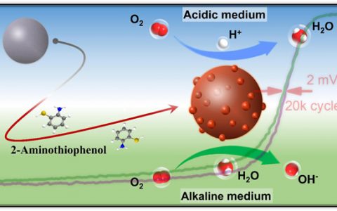 陈忠伟Nano Energy.:修饰的空心球形催化剂增强氧还原反应活性和耐久性