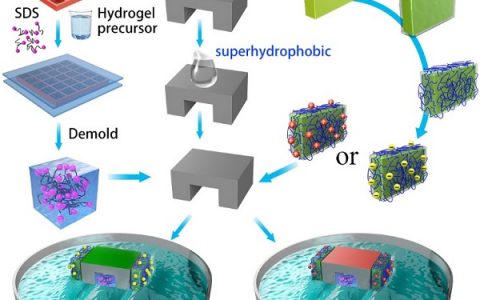 北京化工大学 石峰教授 Angew. Chem. Int. Ed.: 通过长效马兰戈尼运动实现平行、精确的宏观超分子组装