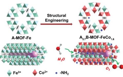 中山大学苏成勇&李光琴Adv. Energy Mater. : MOF电子结构调控及其增强电催化OER性能