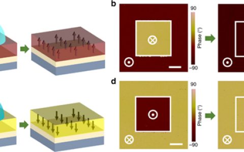张金星北京师范大学Nature Commun.:铁电极化的水印刷