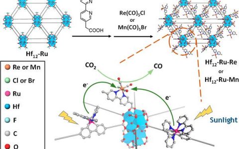 J. Am. Chem. Soc.: 光敏金属有机单层材料应用于日光驱动的高效CO2还原