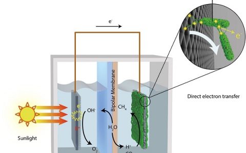 Nano Energy :法拉第效率高达96%的微生物/光电复合人工光合作用体系
