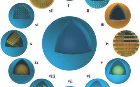 新加坡国立大学曾华淳Adv. Mater.综述:中空催化装置的结构与制备