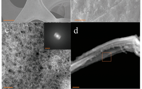 Adv. Mater. 一种提高水裂解电催化剂性能的通用设计策略!